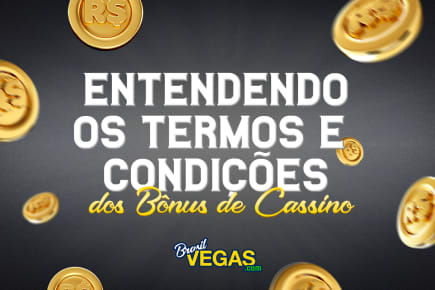 plataforma xxbr