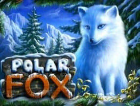 jogo da sorte.net